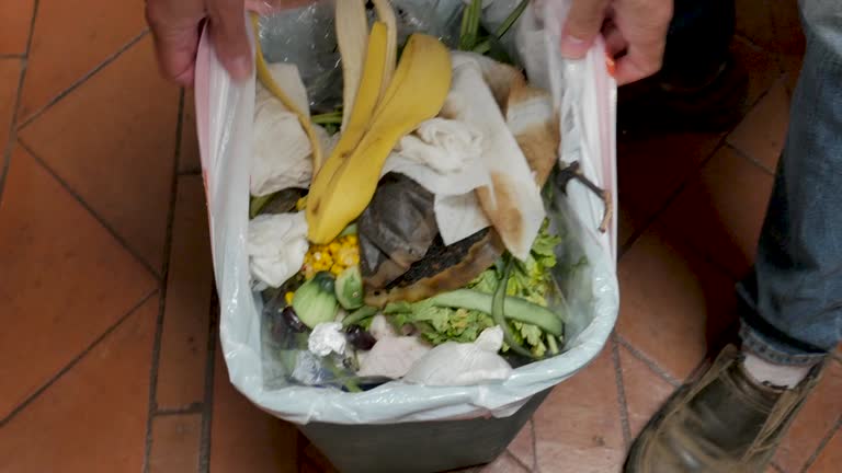 Best Commercial Junk Removal  in Roxboro, NC
